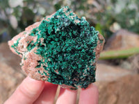 Natural Crystalline Malachite Specimens x 6 From Likasi, Congo - Toprock Gemstones and Minerals 