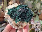 Natural Crystalline Malachite Specimens x 6 From Likasi, Congo - Toprock Gemstones and Minerals 