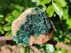 Natural Crystalline Malachite Specimens x 6 From Likasi, Congo - Toprock Gemstones and Minerals 