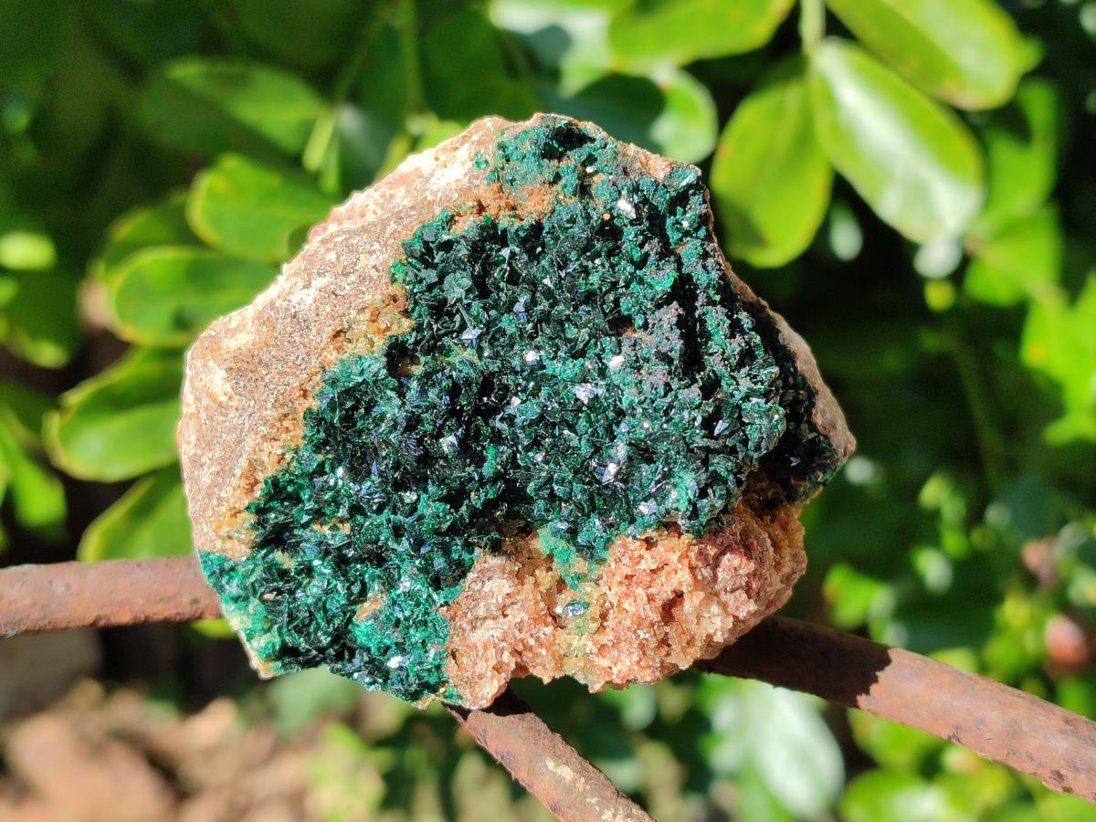 Natural Crystalline Malachite Specimens x 6 From Likasi, Congo - Toprock Gemstones and Minerals 
