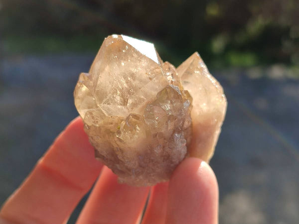 Natural Phantom Cascading Smokey Quartz Crystals x 35 From Luena, Congo