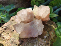 Natural Phantom Cascading Smokey Quartz Crystals x 35 From Luena, Congo