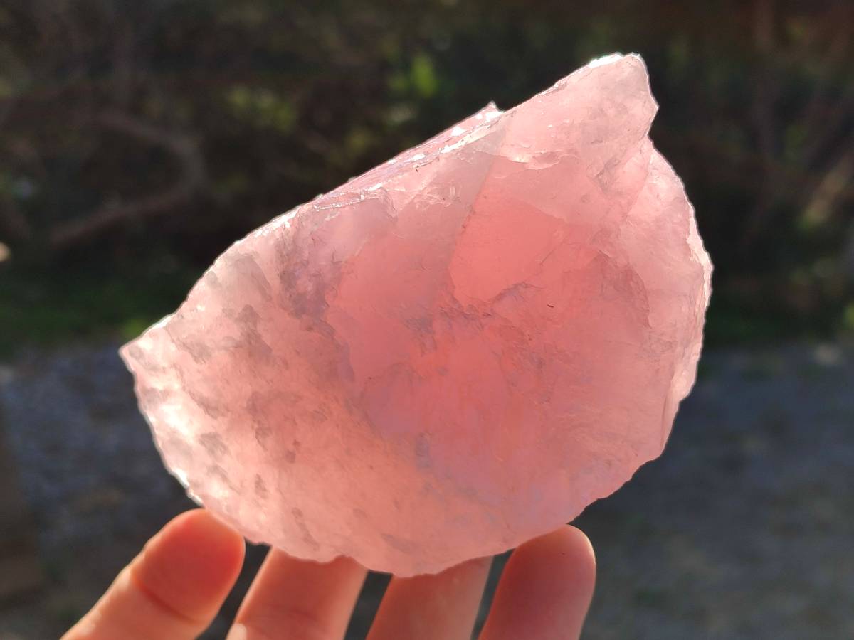 Natural Pink Rose Quartz Cobbed Specimens x 12 From North Cape, South Africa - Toprock Gemstones and Minerals 