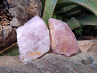 Natural Pink Rose Quartz Cobbed Specimens x 12 From North Cape, South Africa
