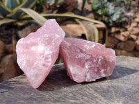 Natural Pink Rose Quartz Cobbed Specimens x 12 From North Cape, South Africa