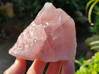Natural Pink Rose Quartz Cobbed Specimens x 12 From North Cape, South Africa