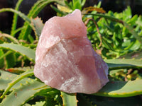 Natural Pink Rose Quartz Cobbed Specimens x 12 From North Cape, South Africa