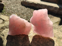 Natural Pink Rose Quartz Cobbed Specimens x 12 From North Cape, South Africa