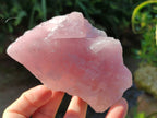 Natural Pink Rose Quartz Cobbed Specimens x 12 From North Cape, South Africa - Toprock Gemstones and Minerals 
