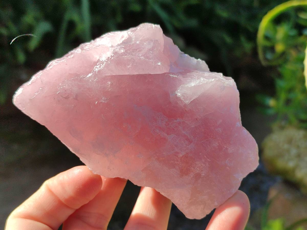 Natural Pink Rose Quartz Cobbed Specimens x 12 From North Cape, South Africa - Toprock Gemstones and Minerals 