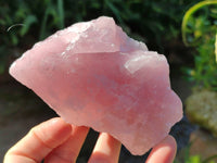 Natural Pink Rose Quartz Cobbed Specimens x 12 From North Cape, South Africa