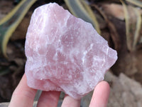 Natural Pink Rose Quartz Cobbed Specimens x 12 From North Cape, South Africa