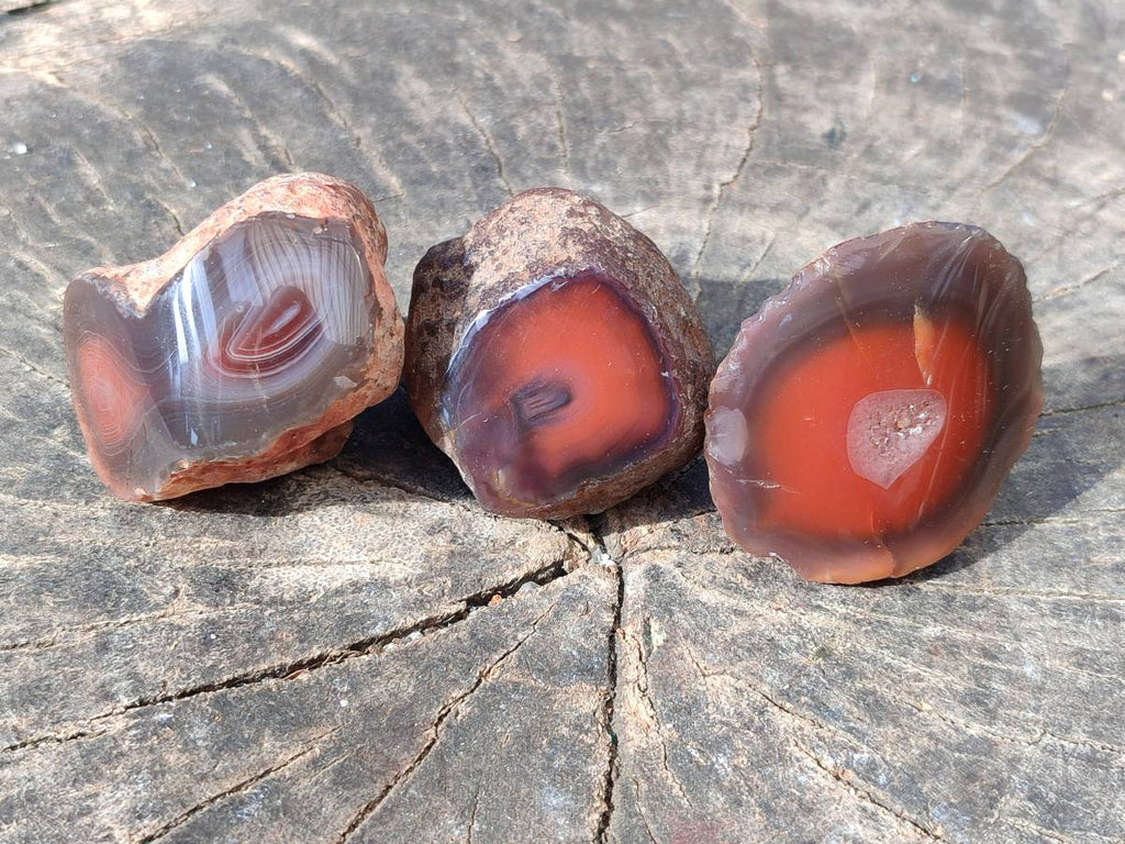 Polished On One Side Red Sashe River Agate Nodules x 20 From Zimbabwe - Toprock Gemstones and Minerals 