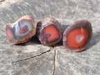 Polished On One Side Red Sashe River Agate Nodules x 20 From Zimbabwe - Toprock Gemstones and Minerals 