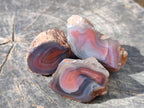 Polished On One Side Red Sashe River Agate Nodules x 20 From Zimbabwe - Toprock Gemstones and Minerals 