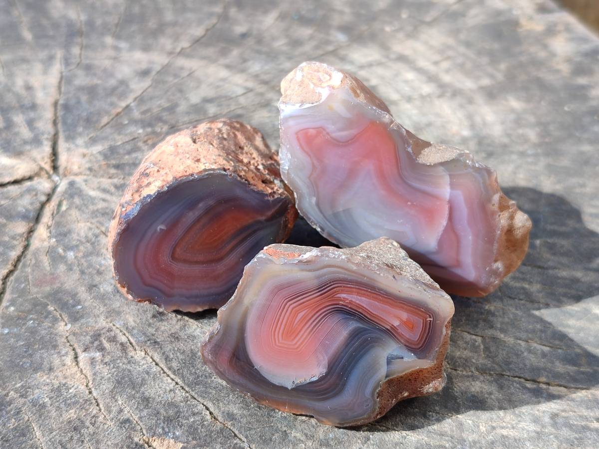 Polished On One Side Red Sashe River Agate Nodules x 20 From Zimbabwe - Toprock Gemstones and Minerals 