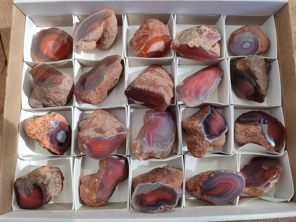 Polished On One Side Red Sashe River Agate Nodules x 20 From Zimbabwe - Toprock Gemstones and Minerals 