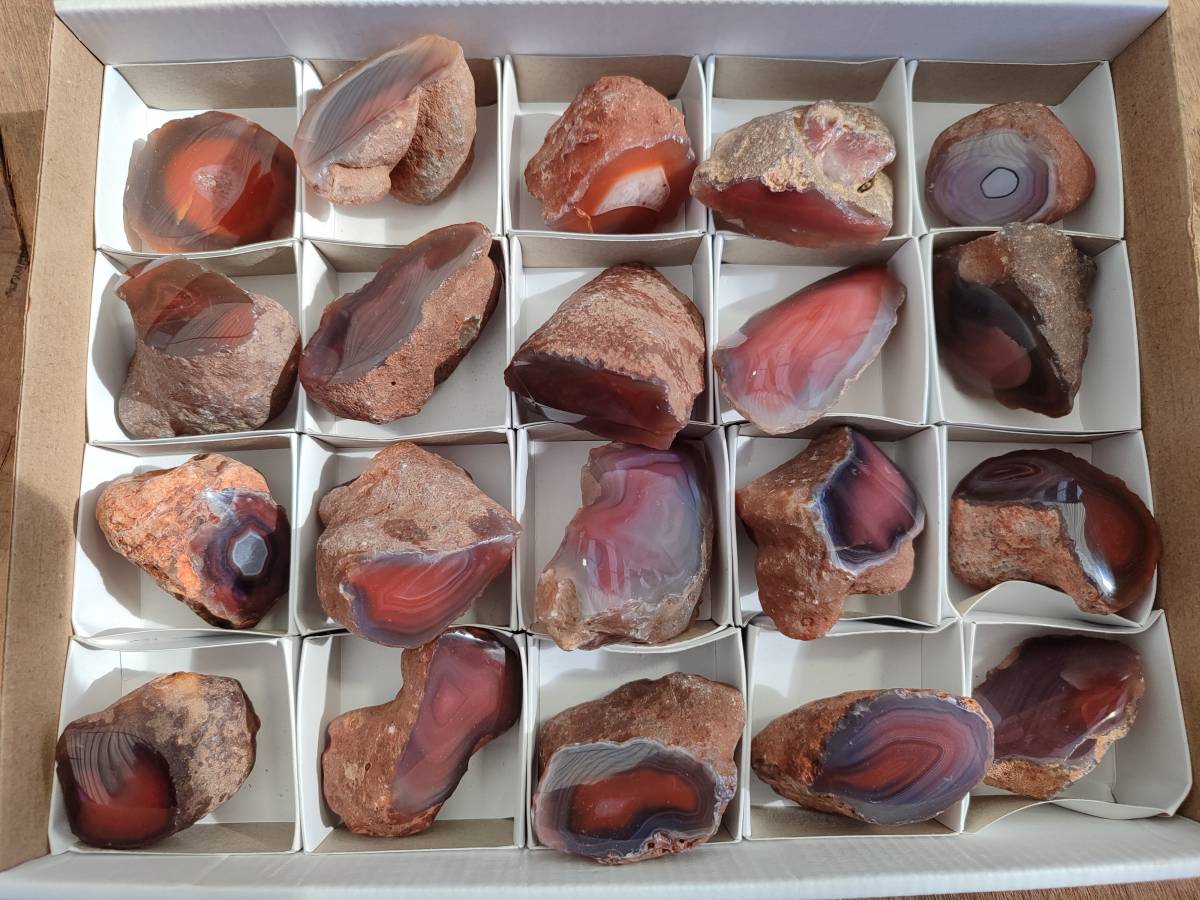 Polished On One Side Red Sashe River Agate Nodules x 20 From Zimbabwe - Toprock Gemstones and Minerals 