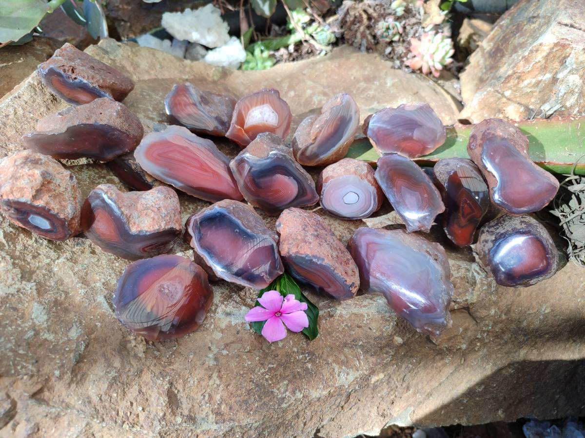 Polished On One Side Red Sashe River Agate Nodules x 20 From Zimbabwe - Toprock Gemstones and Minerals 