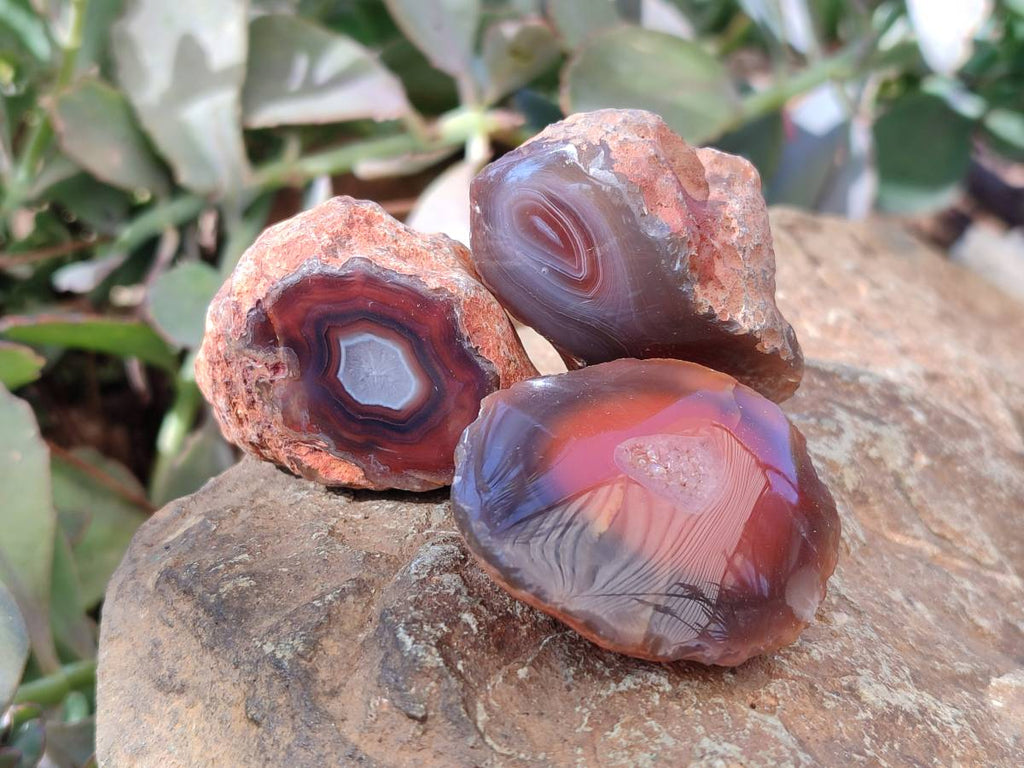 Polished On One Side Red Sashe River Agate Nodules x 20 From Zimbabwe - Toprock Gemstones and Minerals 