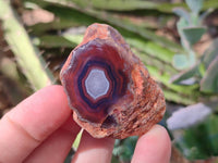 Polished On One Side Red Sashe River Agate Nodules x 20 From Zimbabwe - Toprock Gemstones and Minerals 