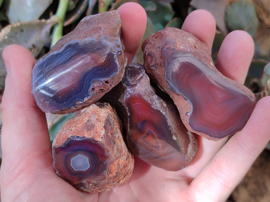 Polished On One Side Red Sashe River Agate Nodules x 20 From Zimbabwe - Toprock Gemstones and Minerals 