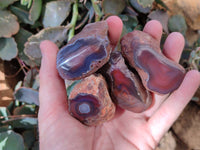 Polished On One Side Red Sashe River Agate Nodules x 20 From Zimbabwe - Toprock Gemstones and Minerals 