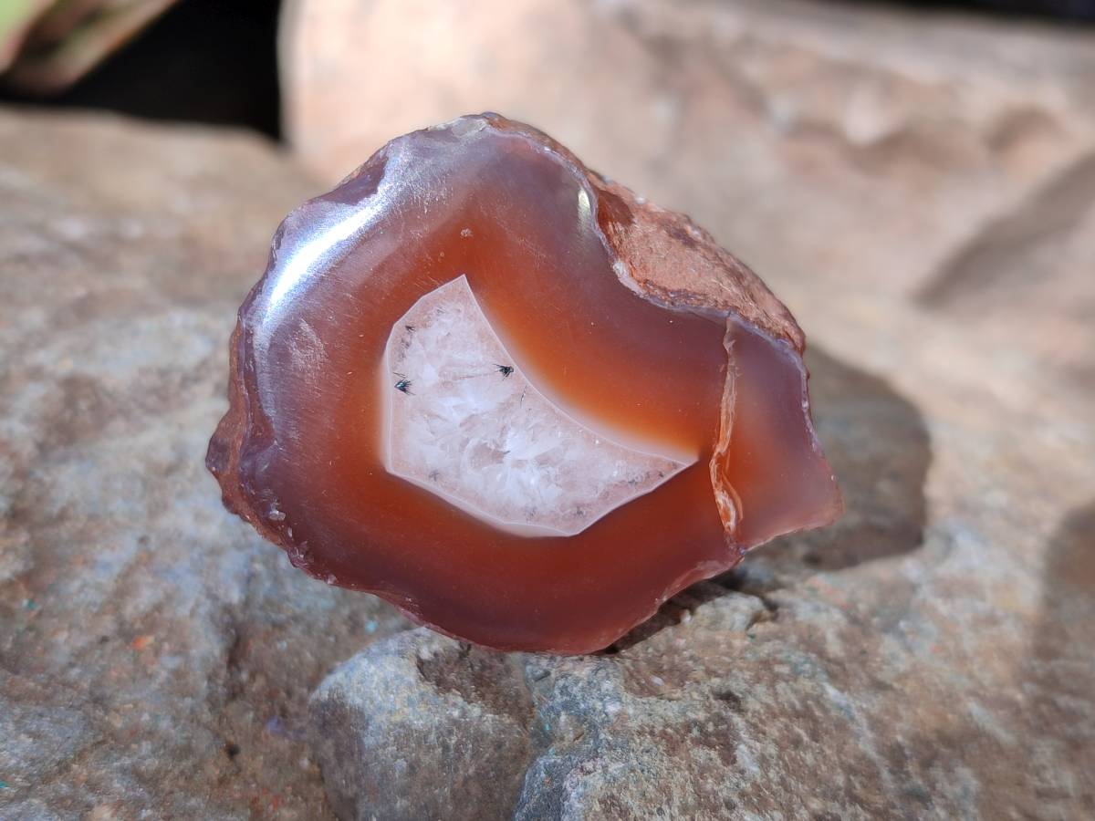 Polished On One Side Red Sashe River Agate Nodules x 20 From Zimbabwe - Toprock Gemstones and Minerals 