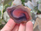 Polished On One Side Red Sashe River Agate Nodules x 20 From Zimbabwe - Toprock Gemstones and Minerals 