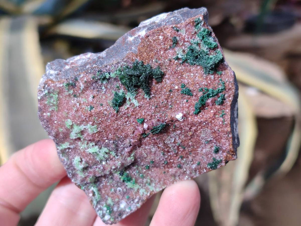 Natural Drusy Salrose on Dolomite Matrix Specimens x 6 From Kakanda, Congo - Toprock Gemstones and Minerals 