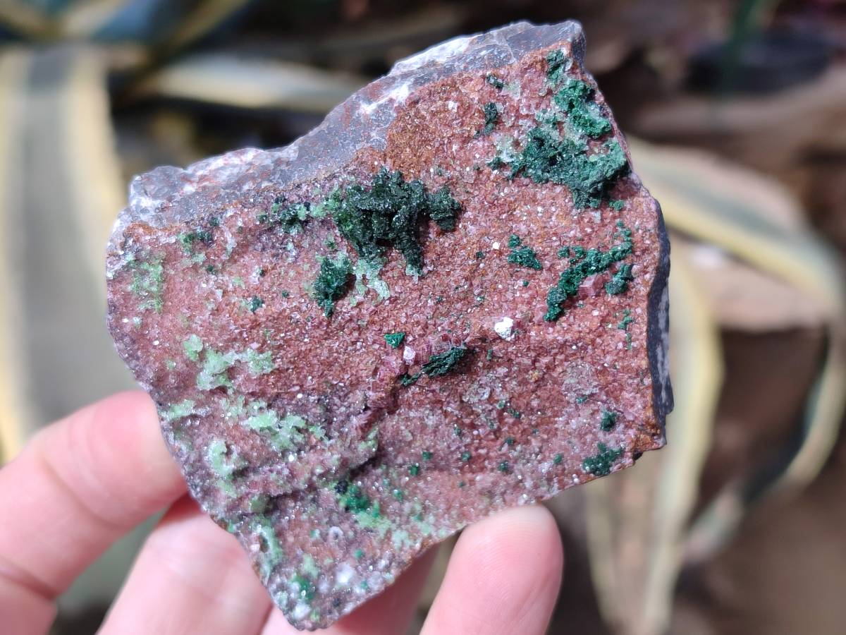 Natural Drusy Salrose on Dolomite Matrix Specimens x 6 From Kakanda, Congo - Toprock Gemstones and Minerals 