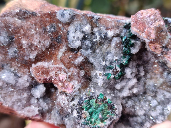 Natural Drusy Salrose on Dolomite Matrix Specimens x 6 From Kakanda, Congo