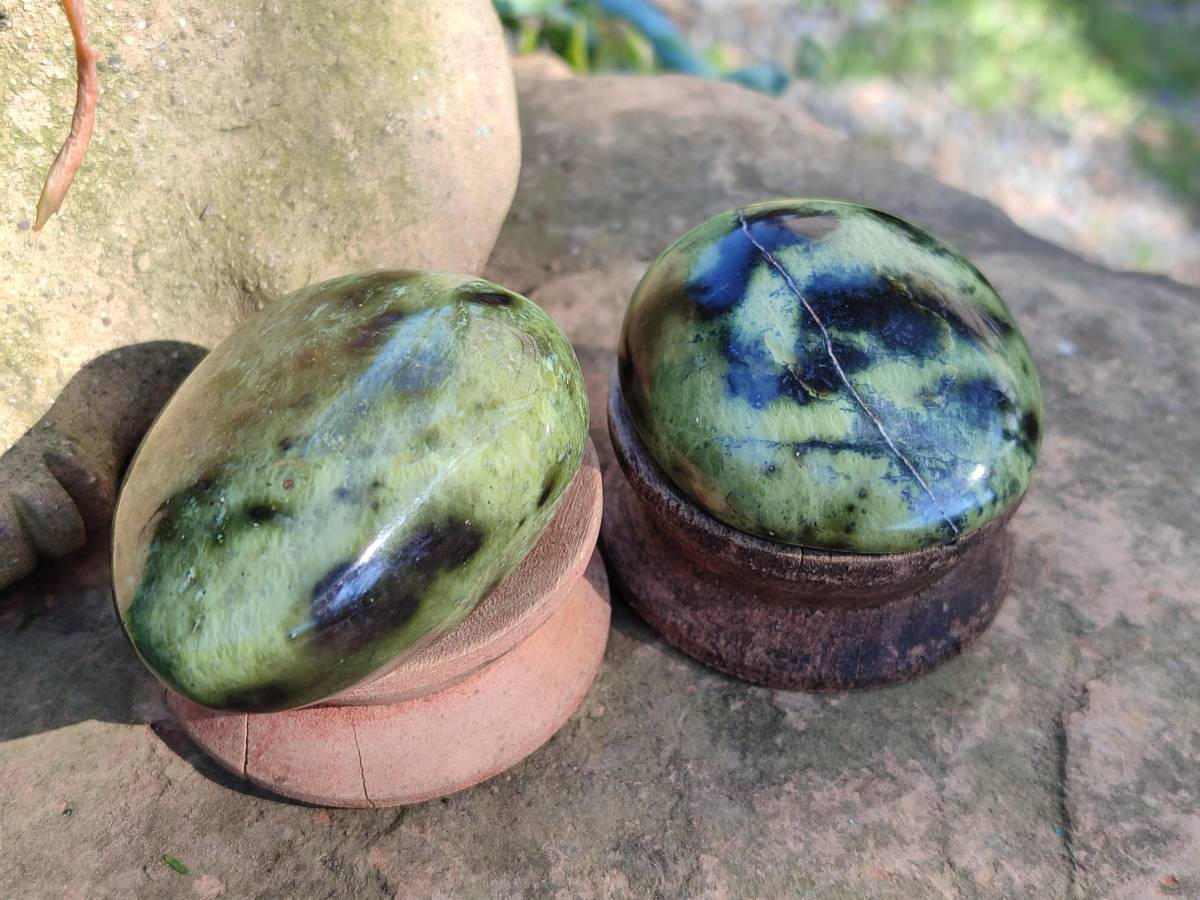 Polished Leopard Stone Free Forms x 13 From Nyanga, Zimbabwe - Toprock Gemstones and Minerals 