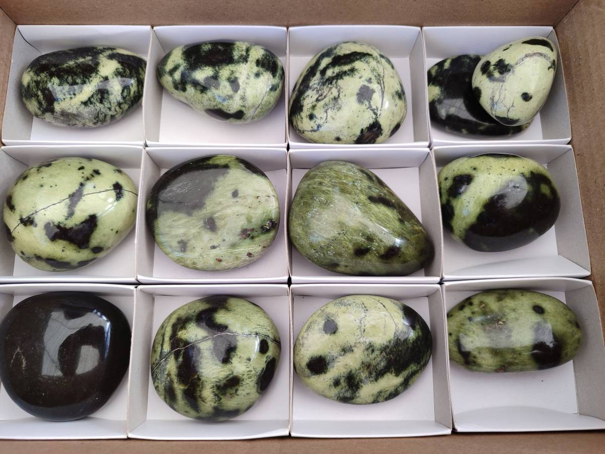 Polished Leopard Stone Free Forms x 13 From Nyanga, Zimbabwe - Toprock Gemstones and Minerals 