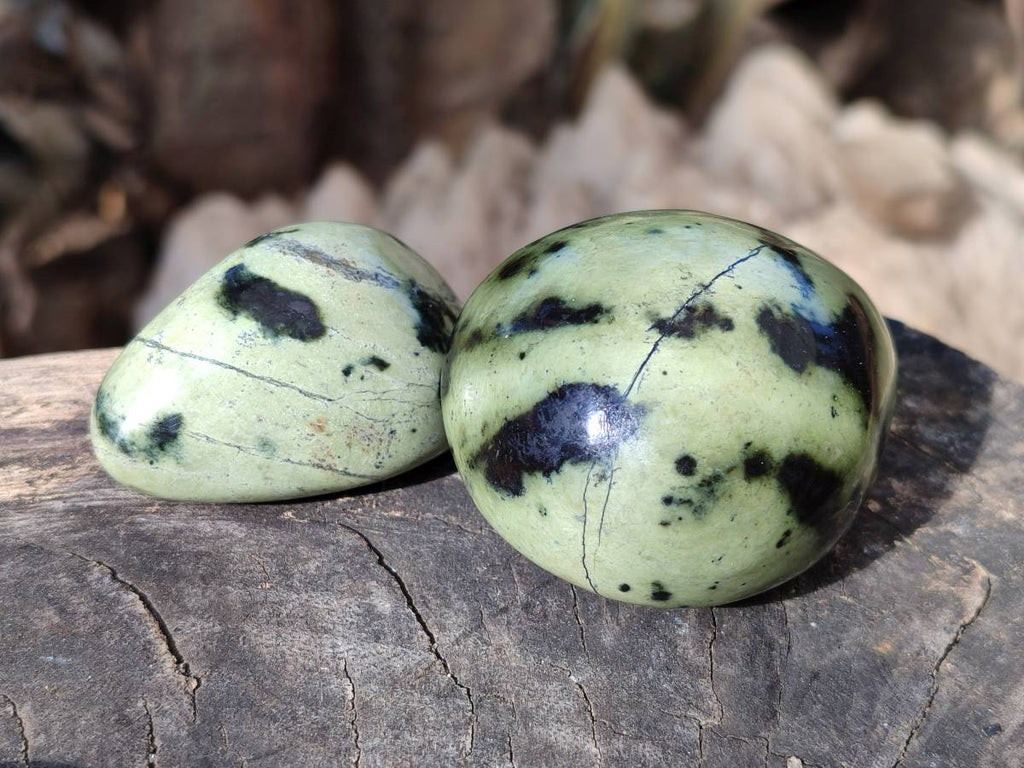 Polished Leopard Stone Free Forms x 13 From Nyanga, Zimbabwe - Toprock Gemstones and Minerals 