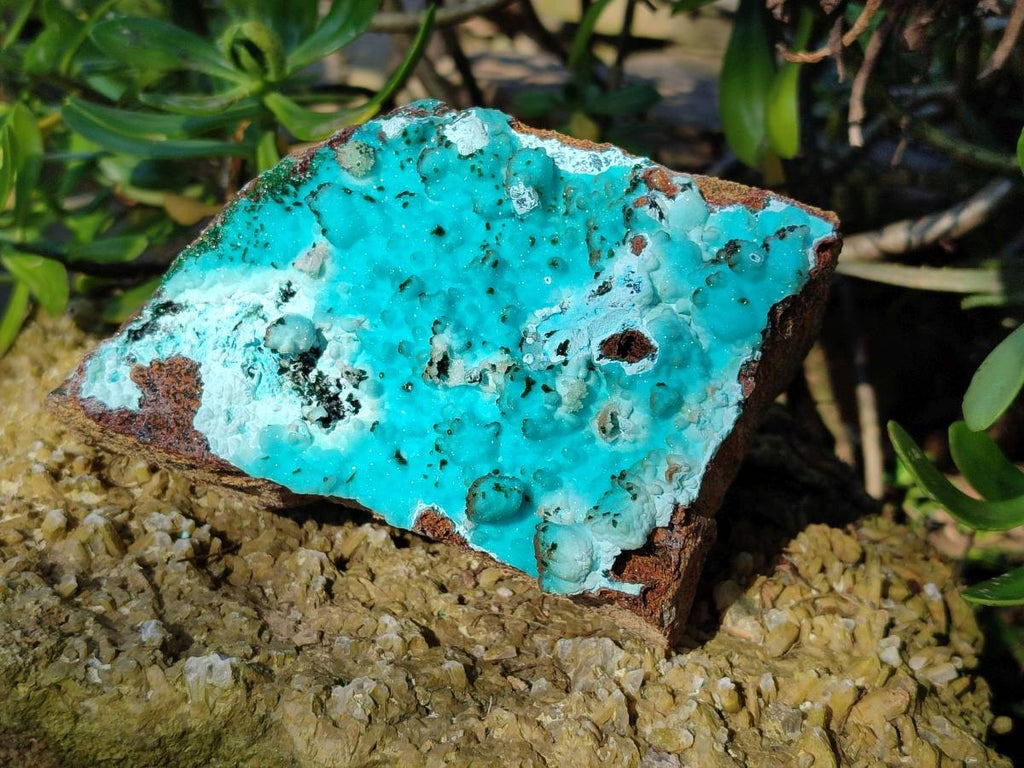 Natural Drusy Coated Chrysocolla with Malachite x 1 From Lupoto Mine, Congo - Toprock Gemstones and Minerals 