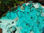 Natural Drusy Coated Chrysocolla with Malachite x 1 From Lupoto Mine, Congo - Toprock Gemstones and Minerals 