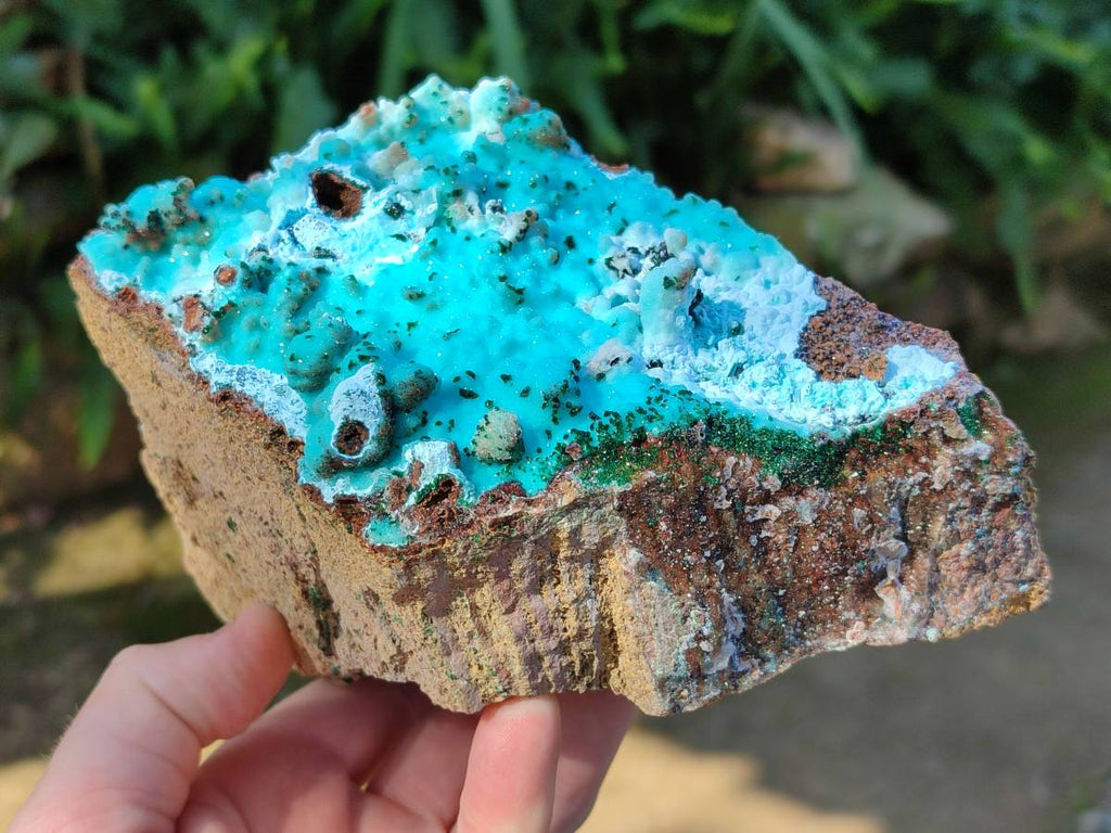 Natural Drusy Coated Chrysocolla with Malachite x 1 From Lupoto Mine, Congo - Toprock Gemstones and Minerals 