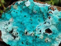Natural Drusy Coated Chrysocolla with Malachite x 1 From Lupoto Mine, Congo - Toprock Gemstones and Minerals 