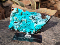 Natural Drusy Coated Chrysocolla with Malachite x 1 From Lupoto Mine, Congo - Toprock Gemstones and Minerals 