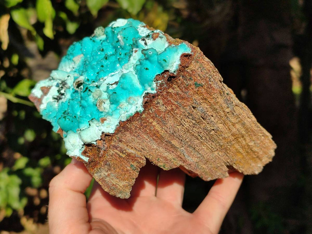 Natural Drusy Coated Chrysocolla with Malachite x 1 From Lupoto Mine, Congo - Toprock Gemstones and Minerals 