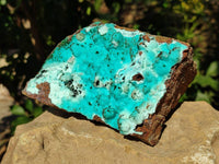 Natural Drusy Coated Chrysocolla with Malachite x 1 From Lupoto Mine, Congo - Toprock Gemstones and Minerals 