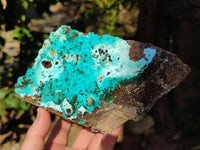 Natural Drusy Coated Chrysocolla with Malachite x 1 From Lupoto Mine, Congo - Toprock Gemstones and Minerals 