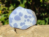 Polished Blue Lace Agate Tumbled Stones x 12 From Malawi