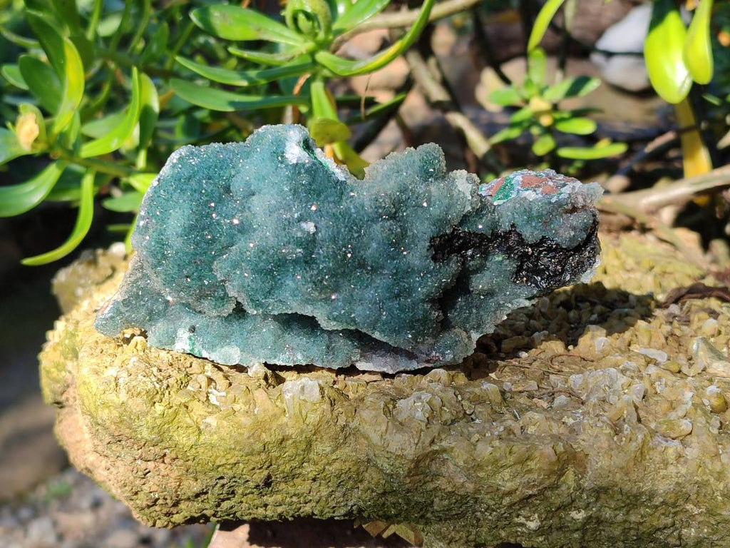 Natural Ball Malachite On Quartz Matrix Specimens x 3 From Kambove, Congo - Toprock Gemstones and Minerals 