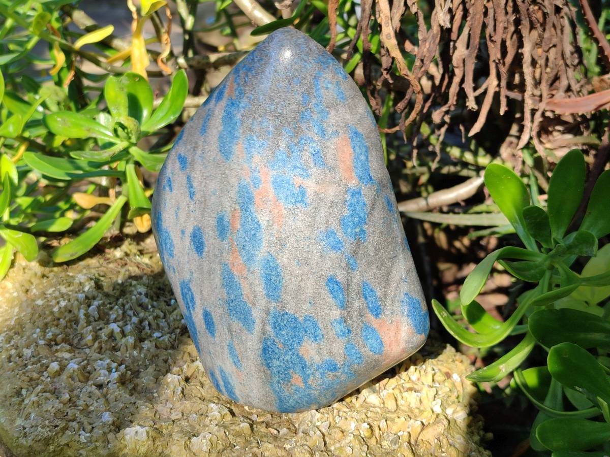 Polished Blue Spinel Spotted Quartz Leaf Sculpture x 1 From Madagascar - Toprock Gemstones and Minerals 