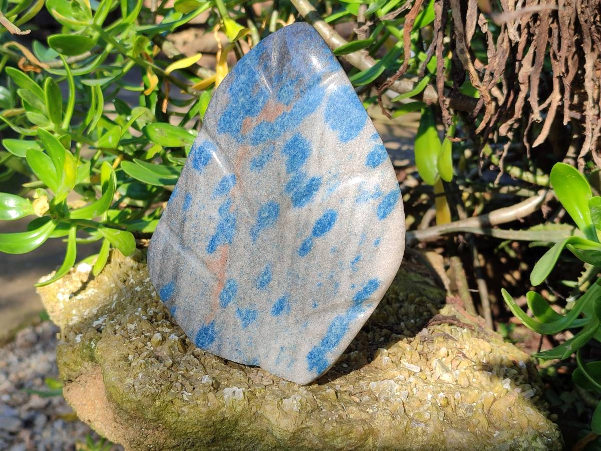 Polished Blue Spinel Spotted Quartz Leaf Sculpture x 1 From Madagascar - Toprock Gemstones and Minerals 