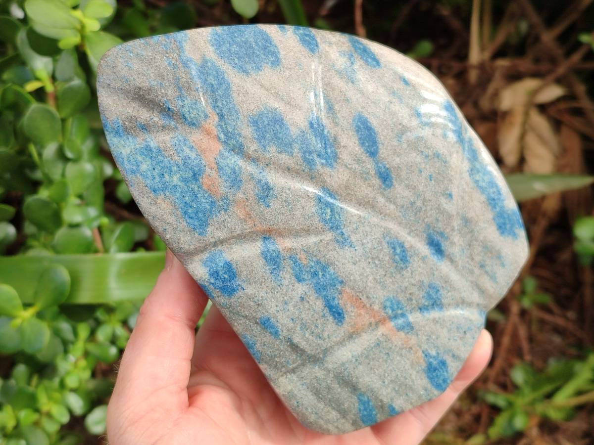 Polished Blue Spinel Spotted Quartz Leaf Sculpture x 1 From Madagascar - Toprock Gemstones and Minerals 