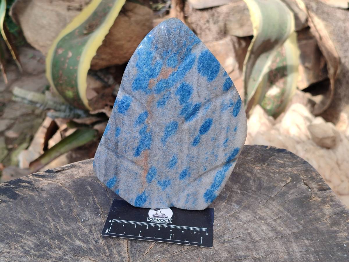 Polished Blue Spinel Spotted Quartz Leaf Sculpture x 1 From Madagascar - Toprock Gemstones and Minerals 