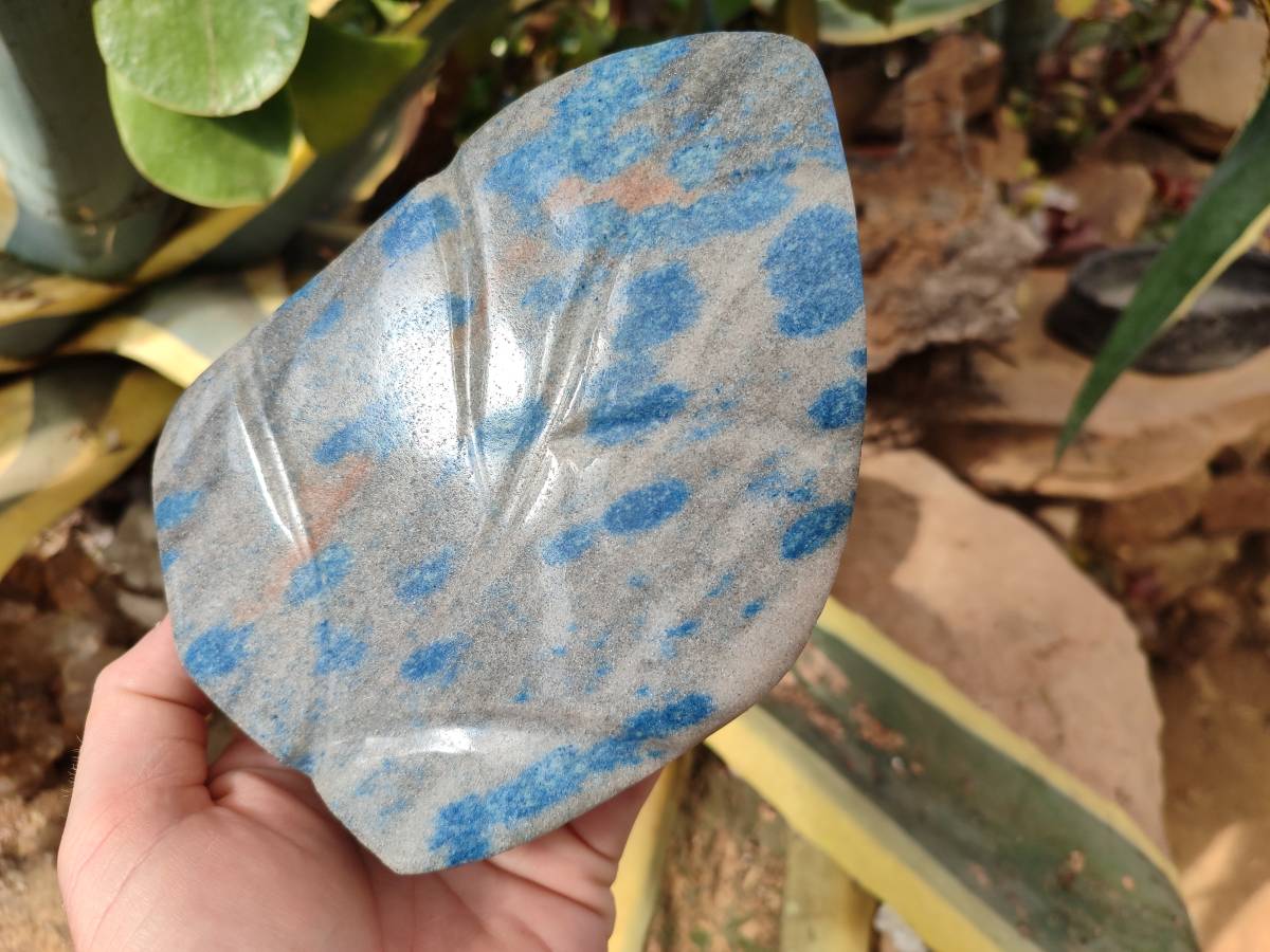 Polished Blue Spinel Spotted Quartz Leaf Sculpture x 1 From Madagascar - Toprock Gemstones and Minerals 